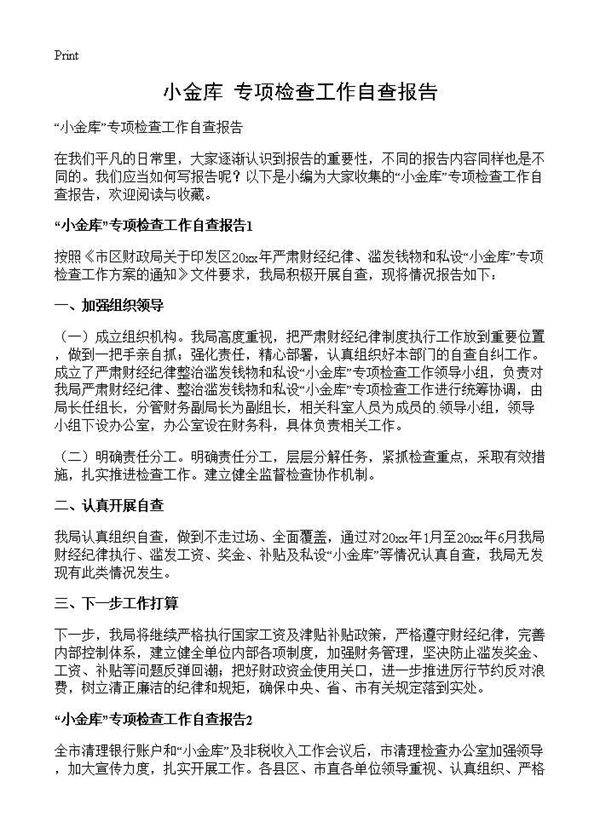 小金库专项检查工作自查报告