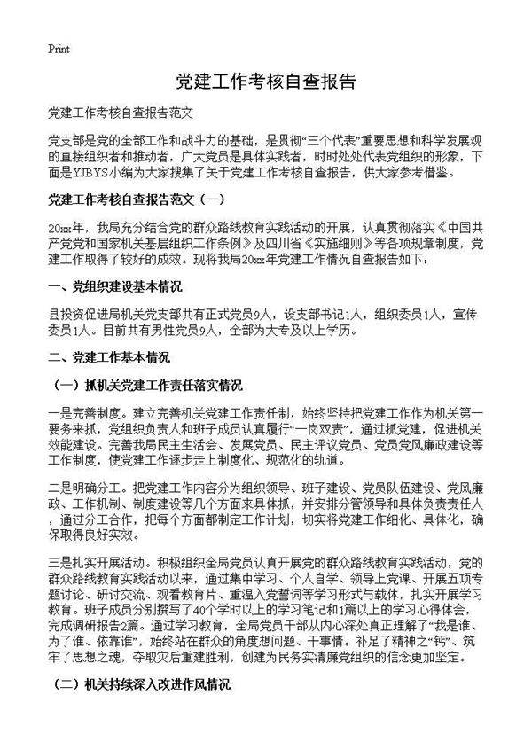 党建工作考核自查报告