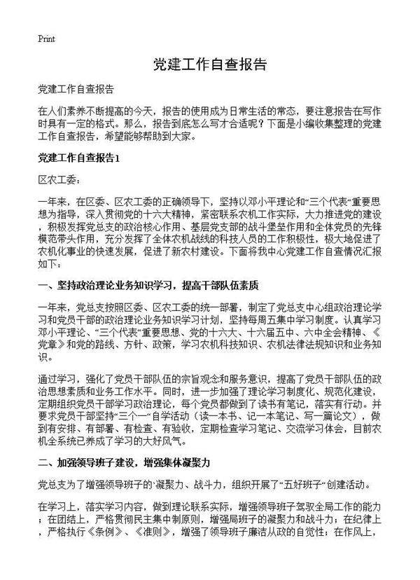 党建工作自查报告