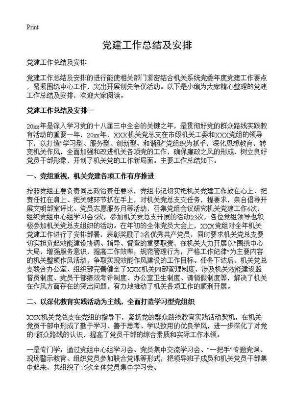 党建工作总结及安排