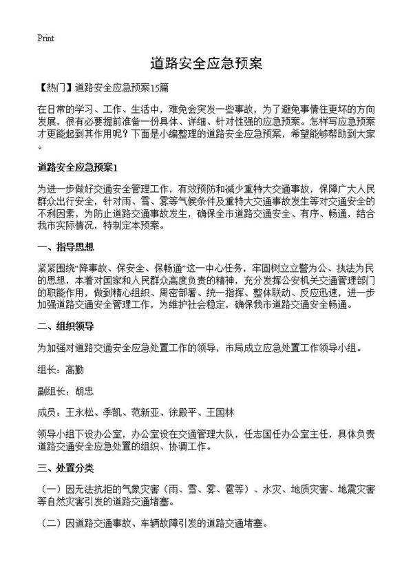 道路安全应急预案