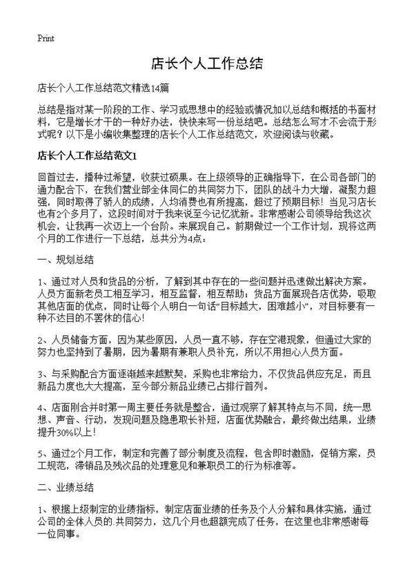 店长个人工作总结