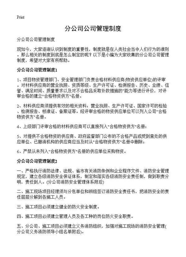 分公司公司管理制度