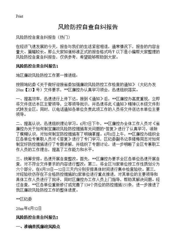 风险防控自查自纠报告