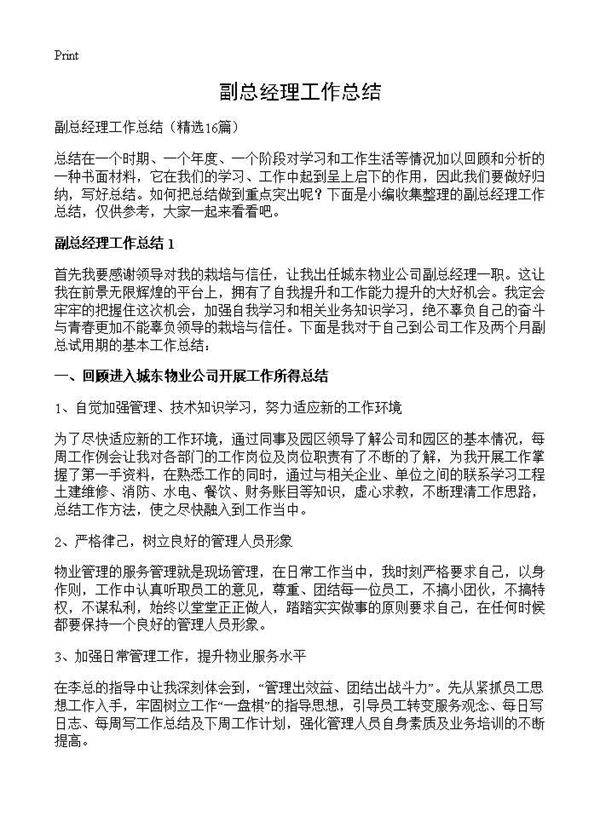 副总经理工作总结16篇