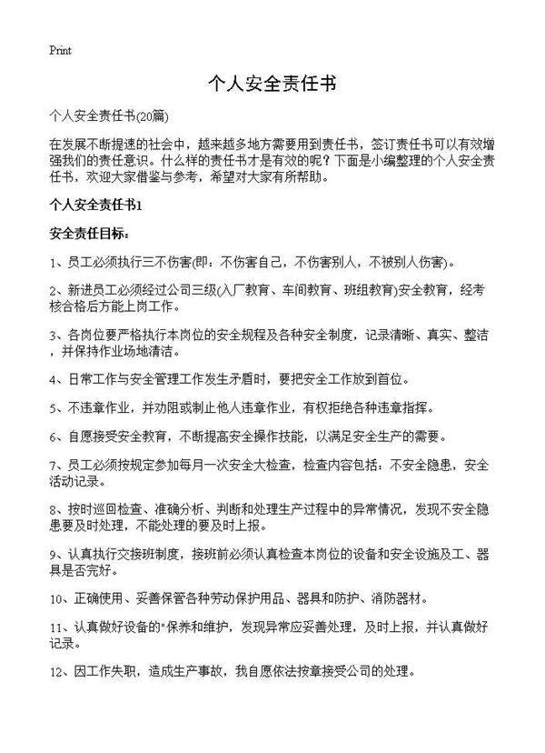 个人安全责任书20篇