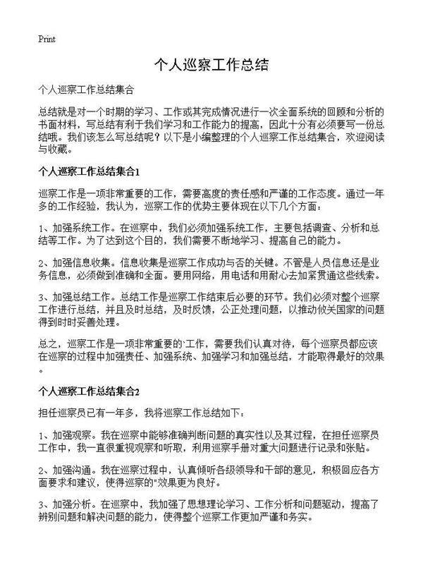 个人巡察工作总结