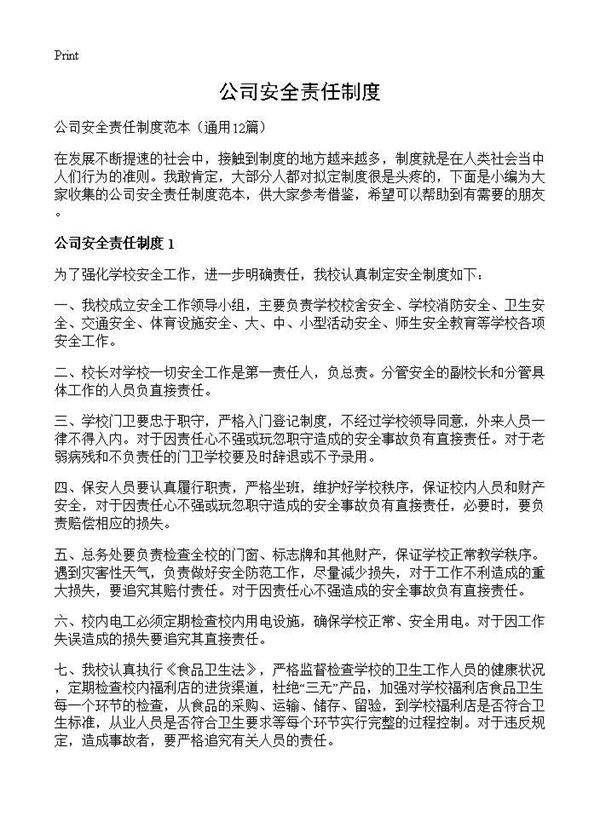 公司安全责任制度12篇