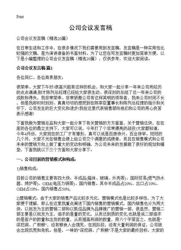 公司会议发言稿20篇