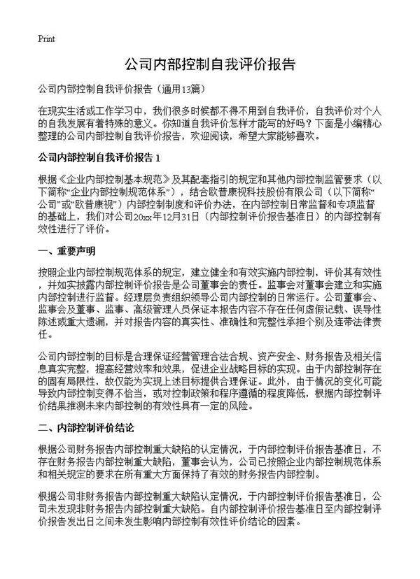 公司内部控制自我评价报告13篇