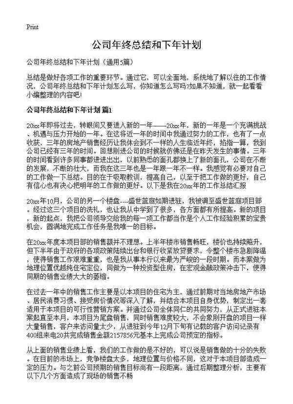 公司年终总结和下年计划5篇