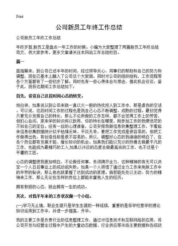 公司新员工年终工作总结