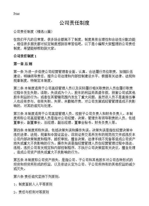 公司责任制度11篇