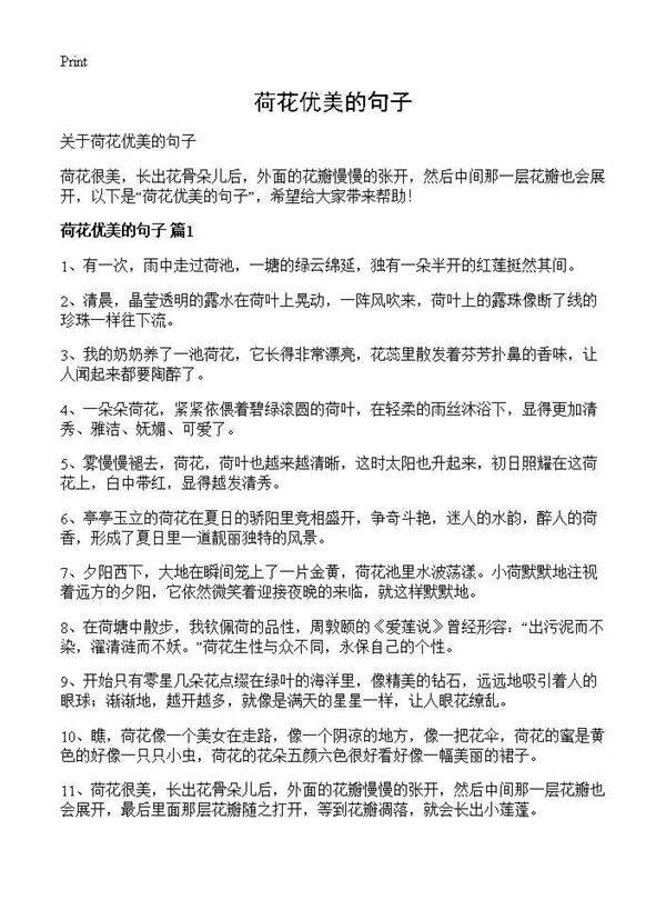 荷花优美的句子