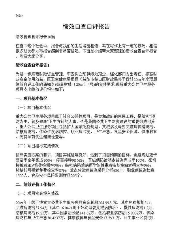 绩效自查自评报告