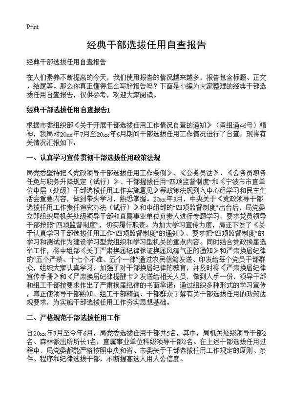经典干部选拔任用自查报告