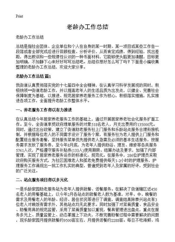 老龄办工作总结