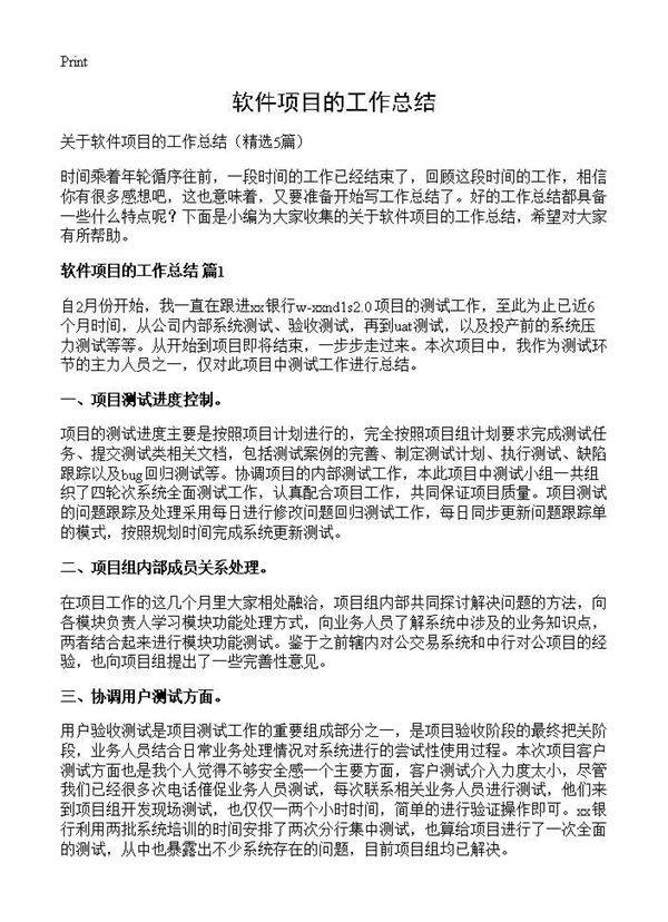 软件项目的工作总结5篇