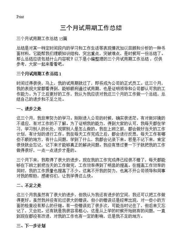 三个月试用期工作总结