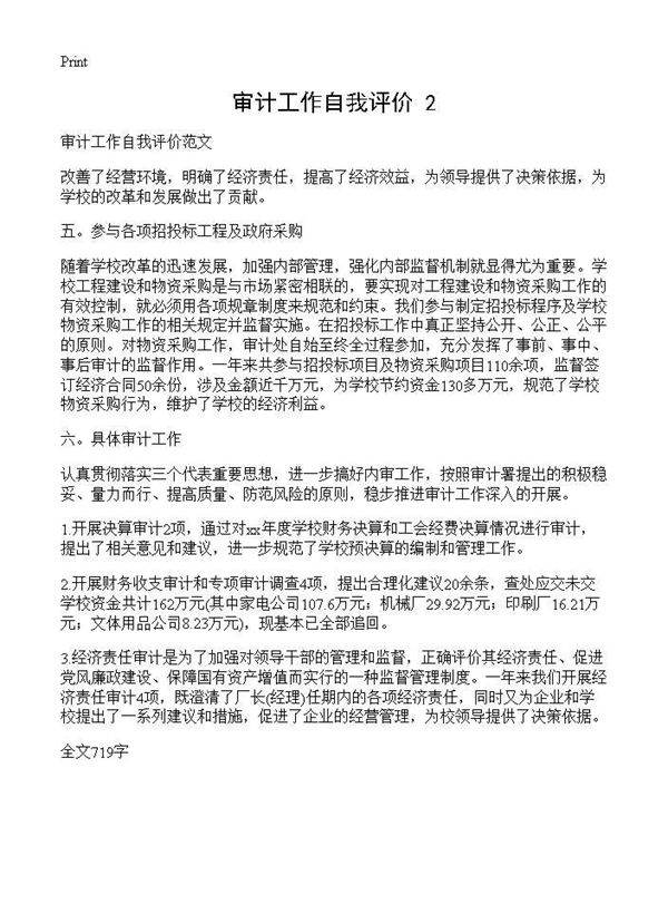 审计工作自我评价(2)