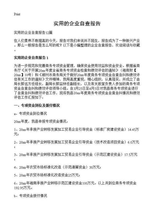 实用的企业自查报告