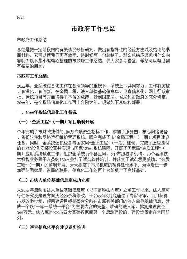 市政府工作总结