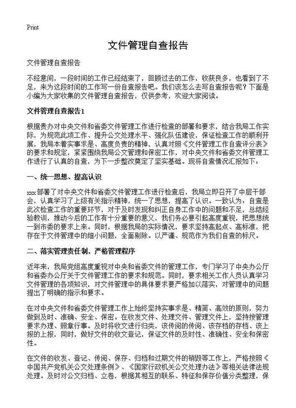 文件管理自查报告