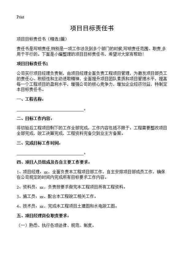 项目目标责任书3篇