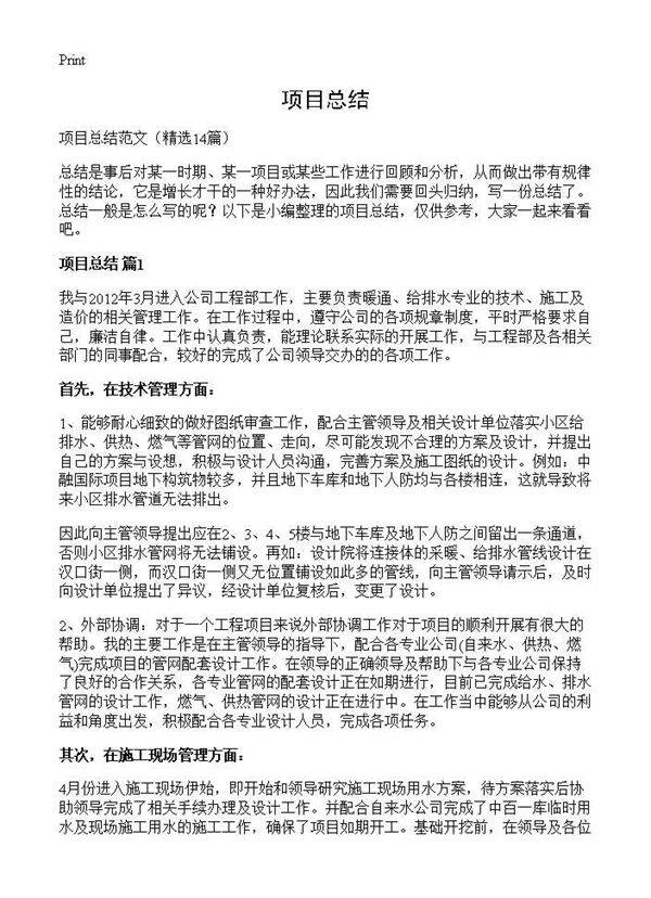 项目总结14篇