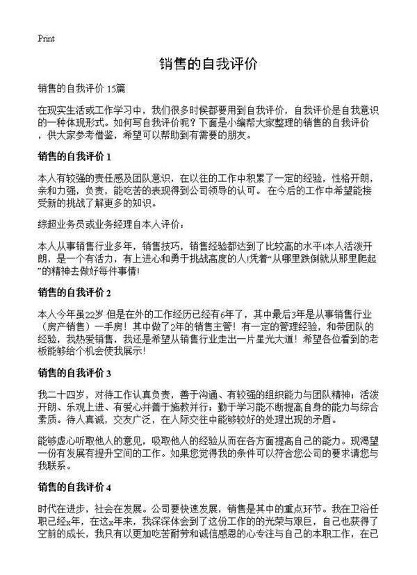 销售的自我评价