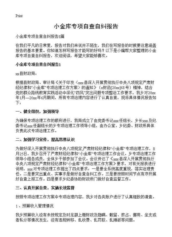 小金库专项自查自纠报告