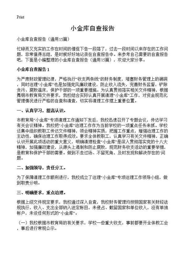 小金库自查报告15篇