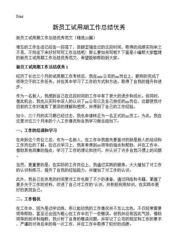 新员工试用期工作总结优秀20篇