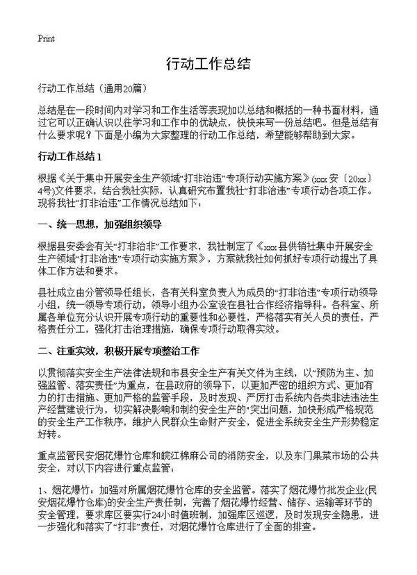 行动工作总结20篇