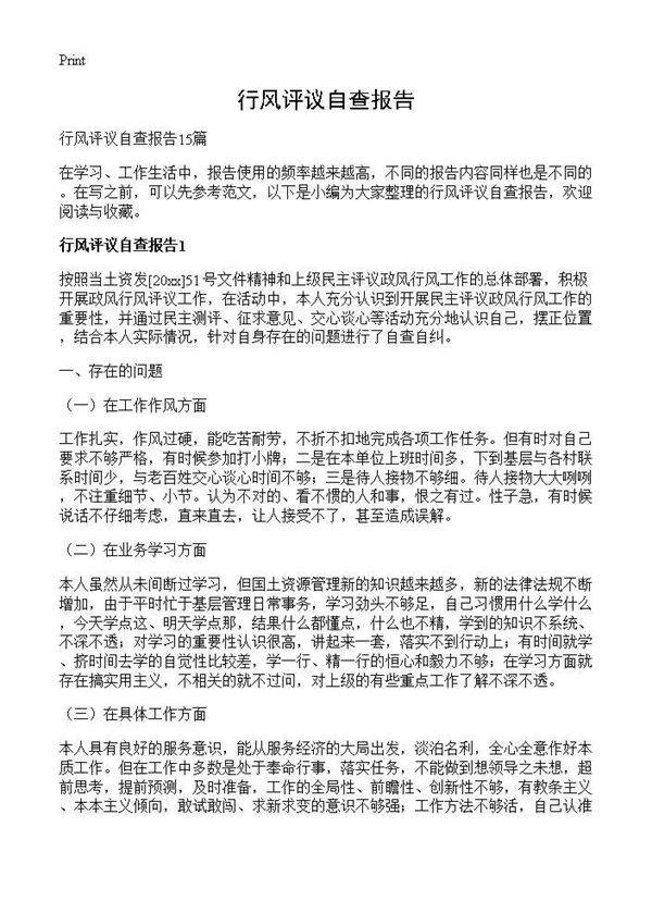 行风评议自查报告