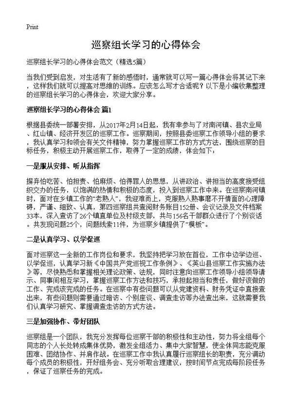 巡察组长学习的心得体会5篇