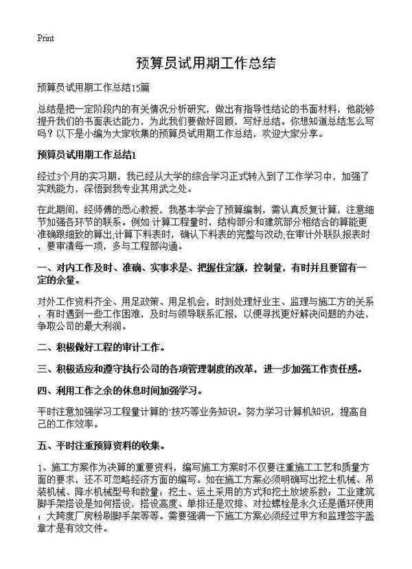 预算员试用期工作总结