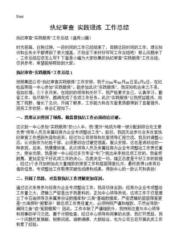 执纪审查实践锻炼工作总结13篇