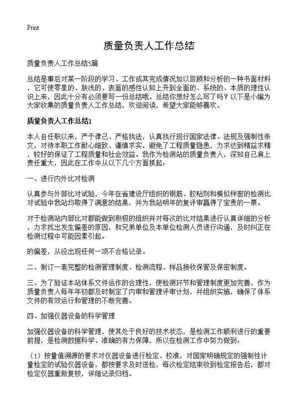 质量负责人工作总结