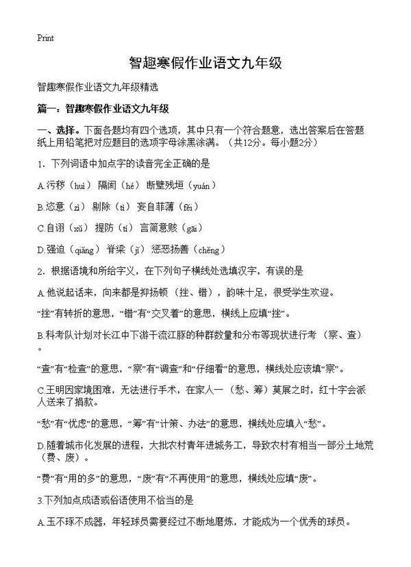 智趣寒假作业语文九年级