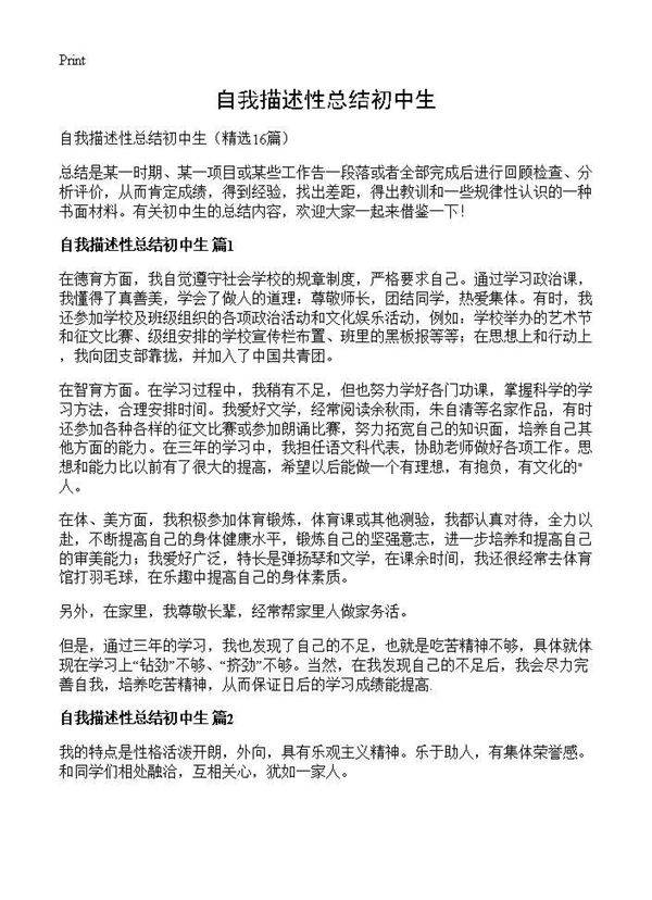 自我描述性总结初中生16篇