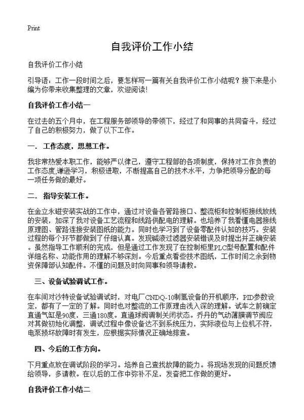 自我评价工作小结