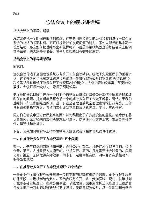 总结会议上的领导讲话稿
