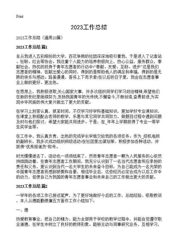 2026工作总结20篇