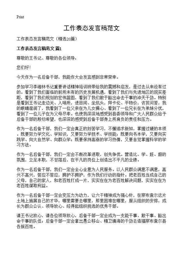工作表态发言稿范文20篇