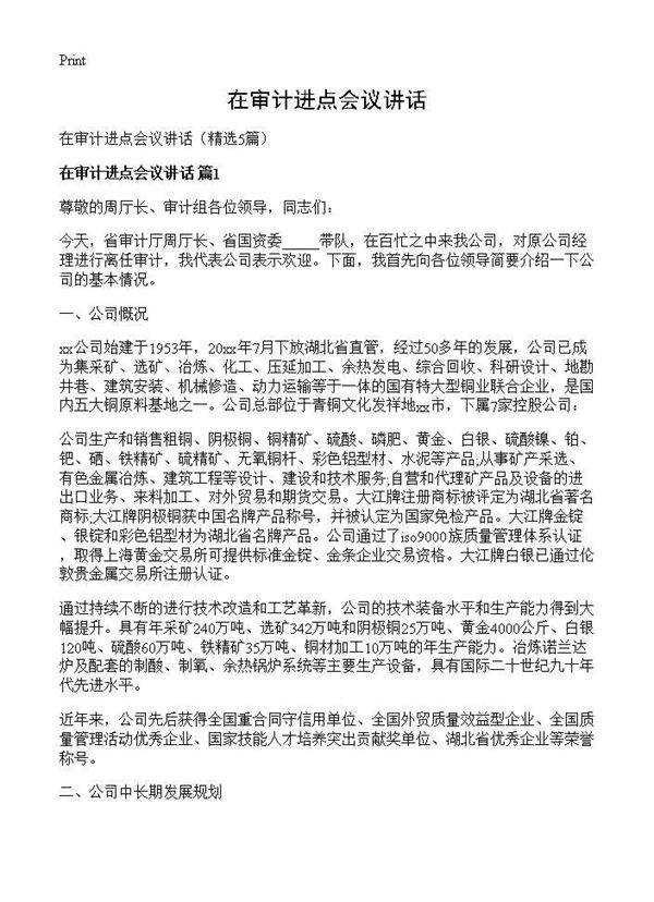 在审计进点会议讲话5篇