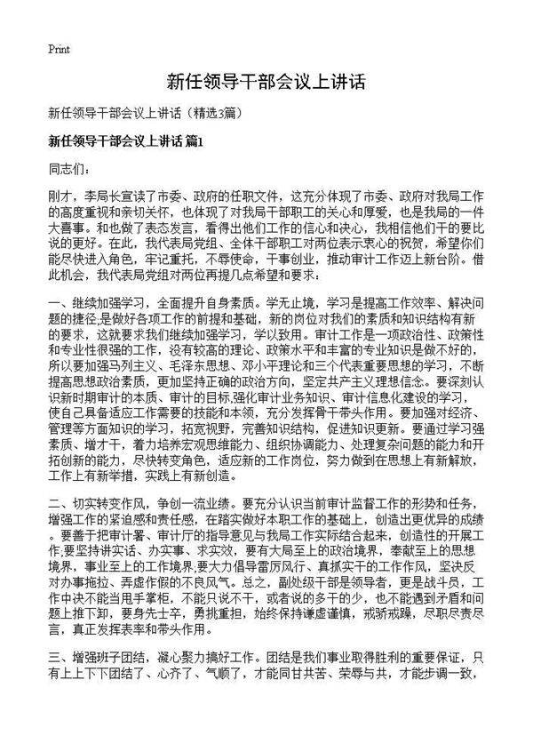 新任领导干部会议上讲话3篇