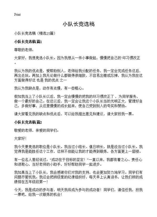 小队长竞选稿25篇