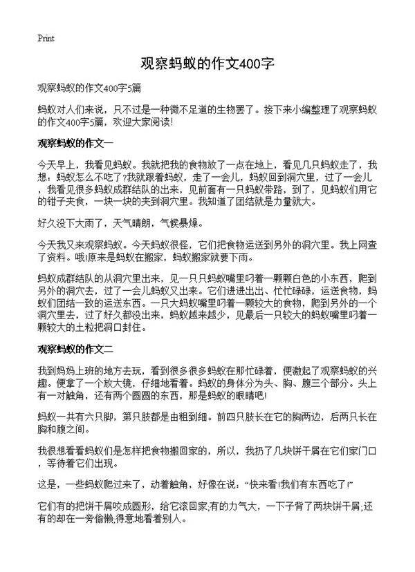 观察蚂蚁的作文400字