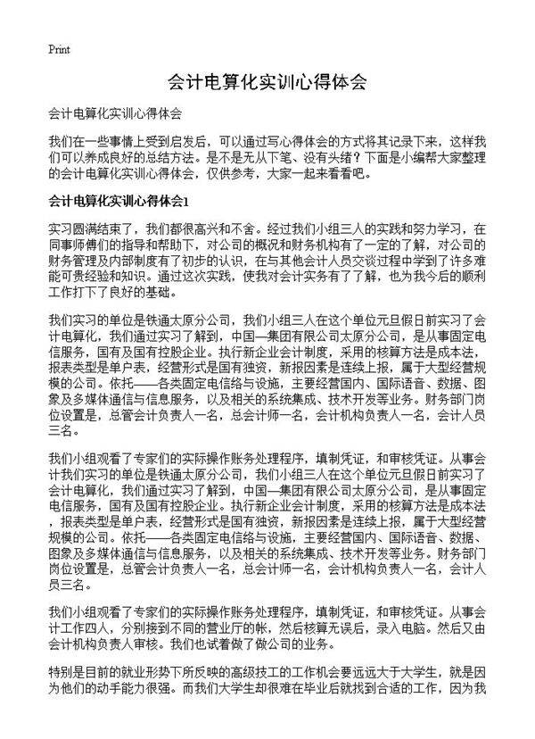 会计电算化实训心得体会